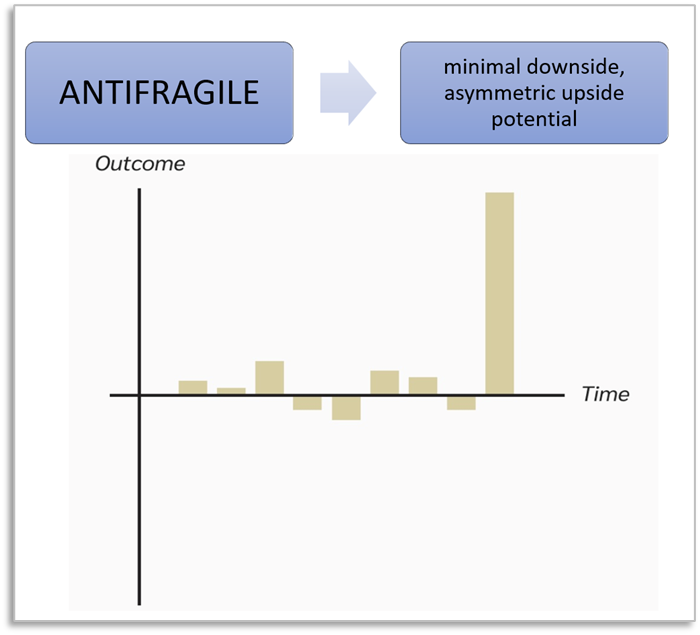 Antifragile System - Minimal Downside, Asymmetric Upside Potential